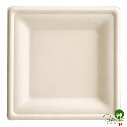 EcoChoice 6" x 6" Natural Plant Fiber Square Plate - 100/Pack