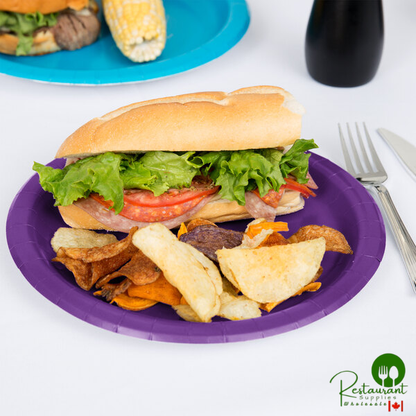 Creative Converting 318927 9" Amethyst Purple Round Paper Plate - 24/Pack