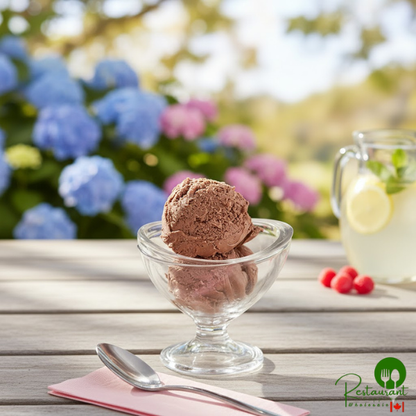 Oringer Chocolate Hard Serve Ice Cream Base #10 Can