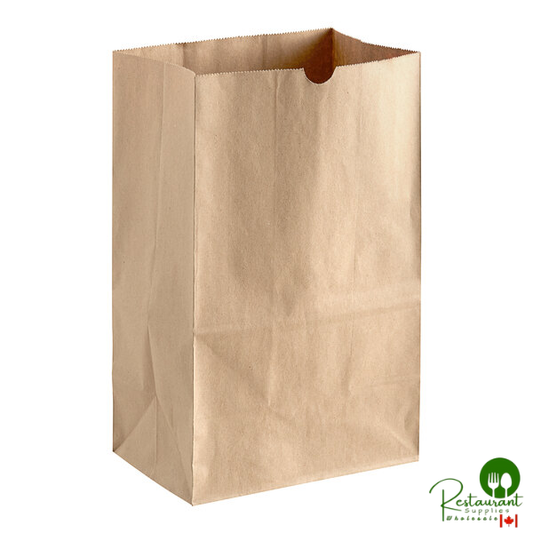 Heavy Duty 20 lb. Shorty Heavy-Duty Natural Kraft Paper Bag By Prime - 400/Case