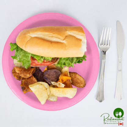 Creative Converting 473042B 9" Candy Pink Paper Plate - 240/Case