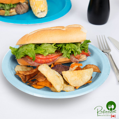 Creative Converting 47157B 9" Pastel Blue Paper Plate - 240/Case