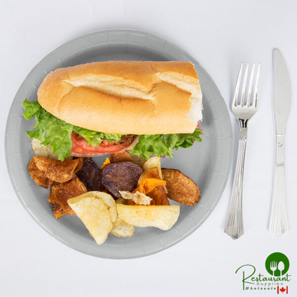 Creative Converting 47106B 9" Shimmering Silver Paper Plate - 240/Case