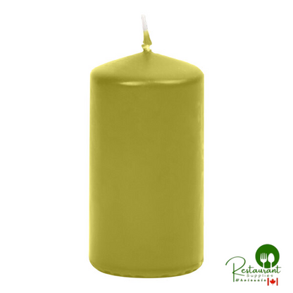 Hyoola Candles 2" x 4" White 25-Hour Pillar Candle - 24/Case