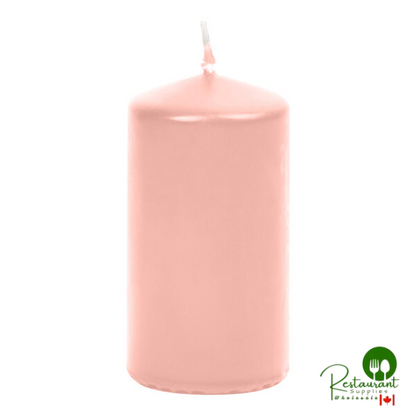 Hyoola Candles 2" x 4" White 25-Hour Pillar Candle - 24/Case