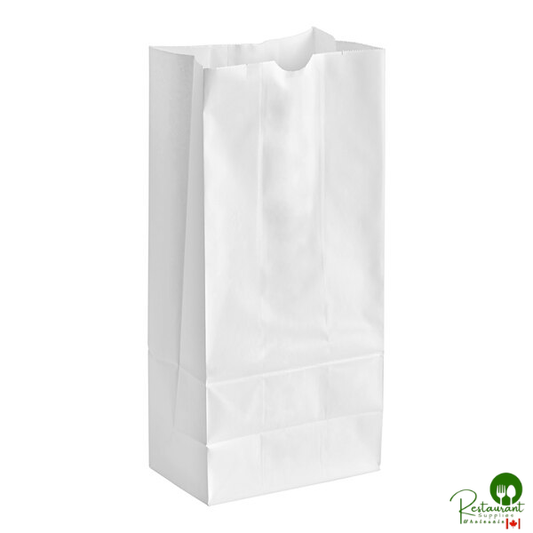 25 lb. Tall White Paper Bag - 500/Bundle