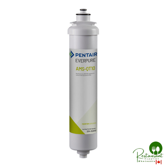 Everpure 204-52810 AMS-QT10 RO Foodservice Water Treatment Cartridge for BWS100 Reverse Osmosis System