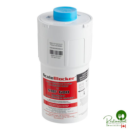 Vulcan 00-857487-00600 Filter, Water,Pmkit 700-064v