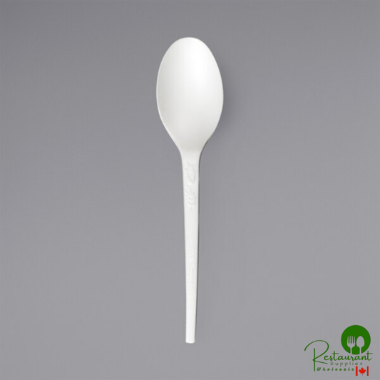 Solia 5" White CPLA Teaspoon - 2,000/Case