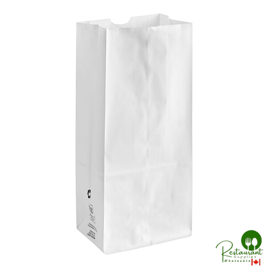 Duro 20 lb. White Paper Bag - 500/Bundle