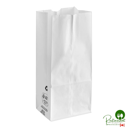 Duro 10 lb. White Paper Bag - 500/Bundle
