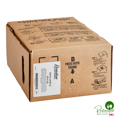 Paradise Pineapple Juice Mix 3 Gallon Bag in Box
