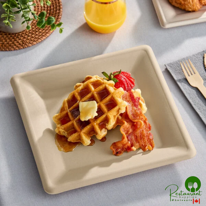 World Centric 10" Compostable Square Fiber Plate - 500/Case