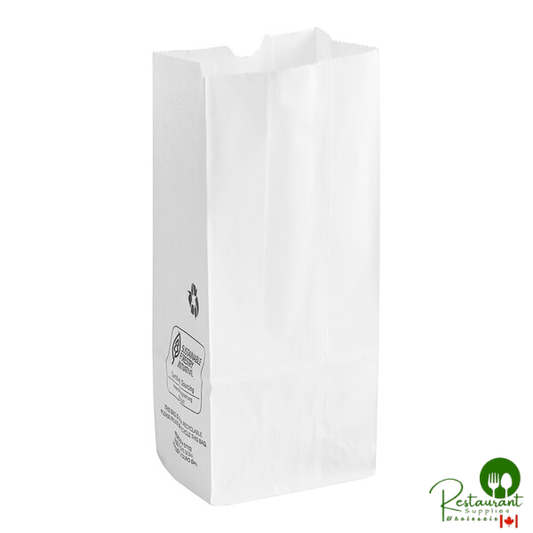 Duro 2 lb. White Paper Bag - 500/Bundle