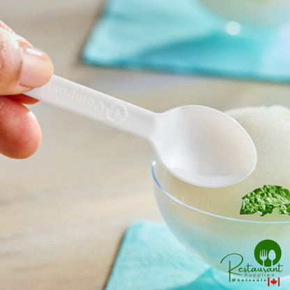 World Centric 3 1/8" PLA Plastic Compostable Tasting Spoon - 3,000/Case