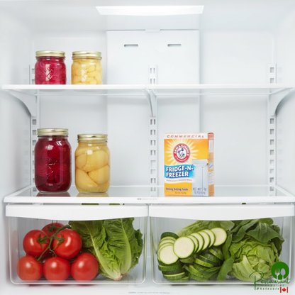 Arm & Hammer® 16 oz. Fridge-N-Freezer Baking Soda Odor Absorber - 24/Case