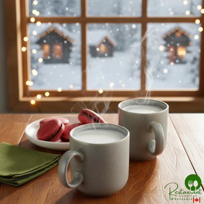 Cocoa Classics Arctic White Chocolate Cocoa Mix 14.8 oz. - 6/Case