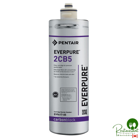 Everpure EV9617-05 2CB5 Filter Cartridge, 5 Micron, 1 GPM