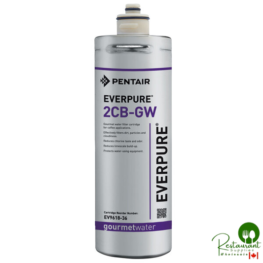 Everpure EV961836 2CB-GW Filter Cartridge - 10 Micron Rating and 0.5 GPM