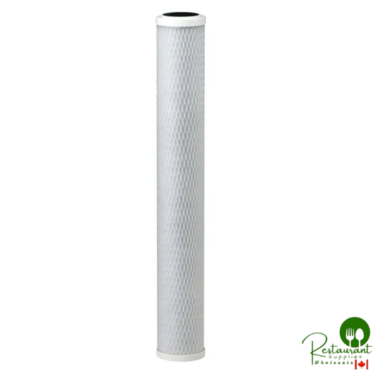 Everpure EV910867 CG53-20S 20" Filter Cartridge - Submicron Rating and 4 GPM