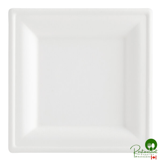 EcoChoice 6" x 6" Compostable White Plant Fiber Plant Fiber Square Plate - 100/Pack