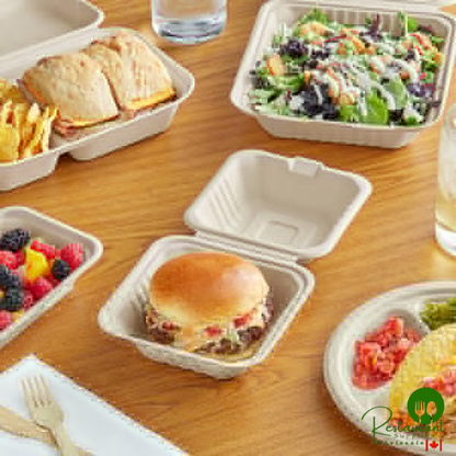 EcoChoice 10" Natural Plant Fiber Plate - 500/Case