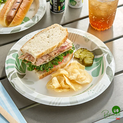 Dixie Ultra Pathways 10 1/16" Heavy Weight Paper Plate - 500/Case